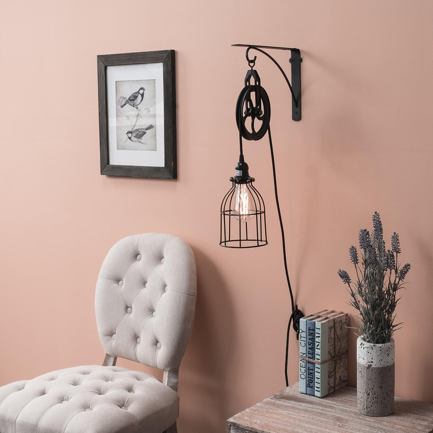 Black Pulley Cage Plug-In Wall Sconce Kit